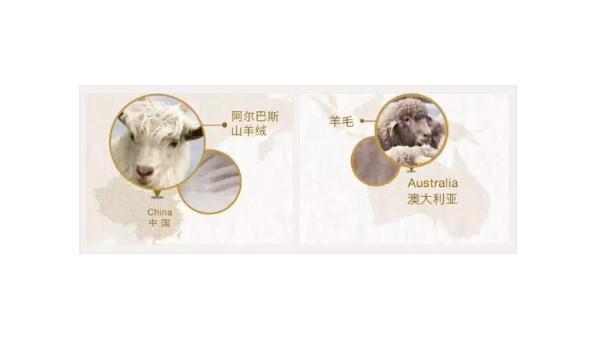 天冷了，羊毛和羊絨到底有什么區別？90%的人都不知道！